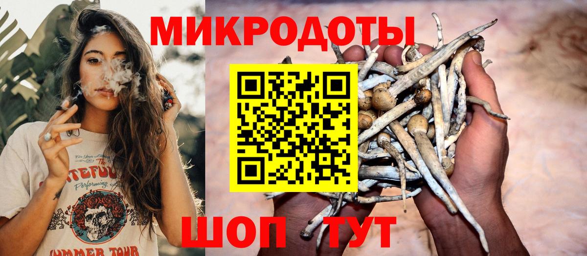 Псилоцибиновые грибы Psilocybine cubensis  Вход с VPN  Туймазы 